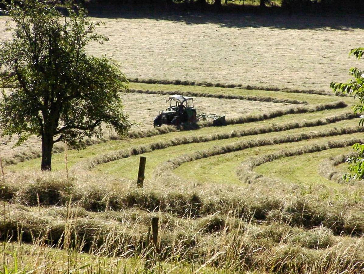 Schoenblick - Gemuetlich Uebernachten! Ober-Hambach Extérieur photo